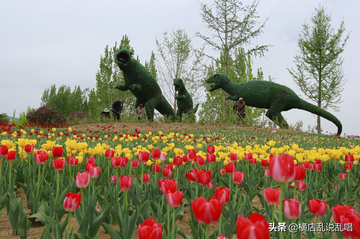 山东潍坊诸城楼市涨跌,山东潍坊房地产市场