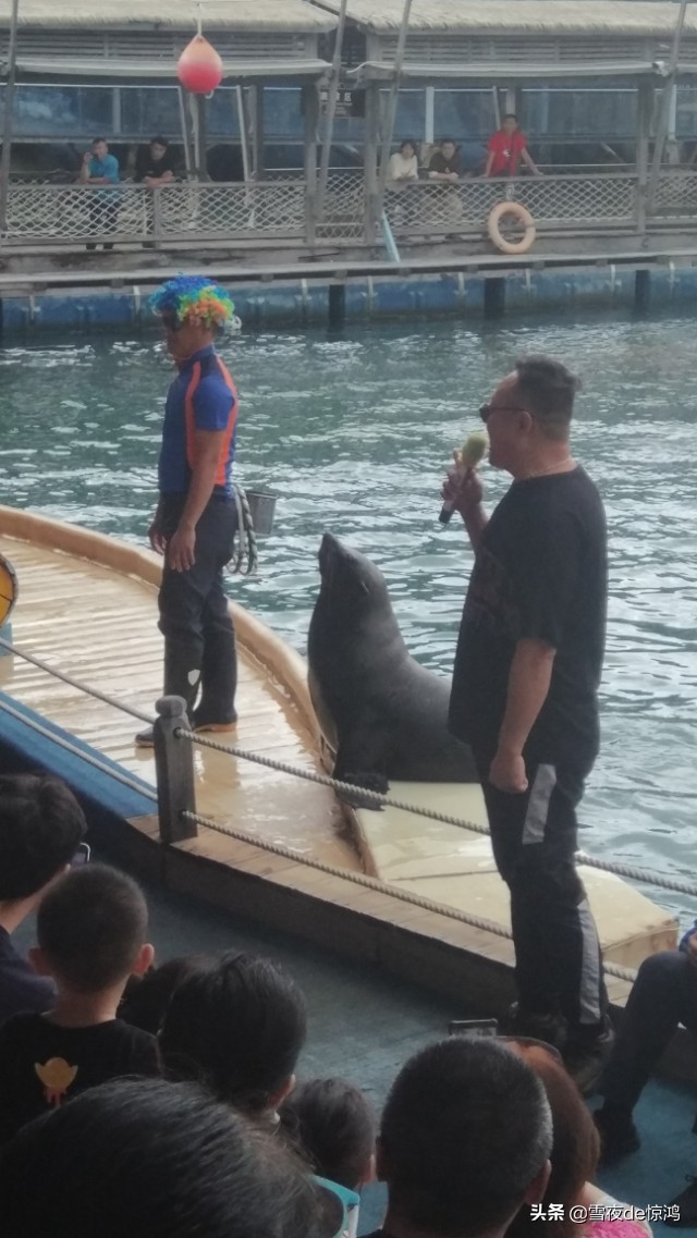 海南三亚分界洲岛,海南三亚之分界洲美景