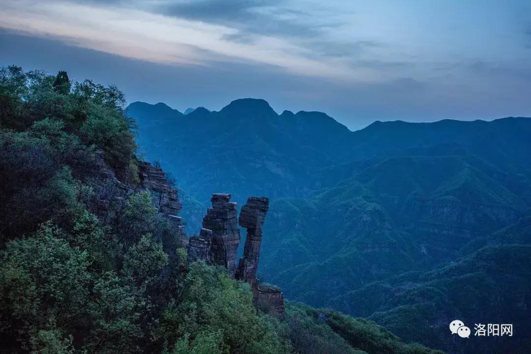 洛阳向全球推介,洛阳向世界发出邀请
