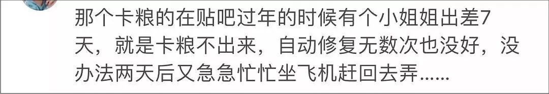 小佩闷死猫事件,小佩猫窝闷死猫