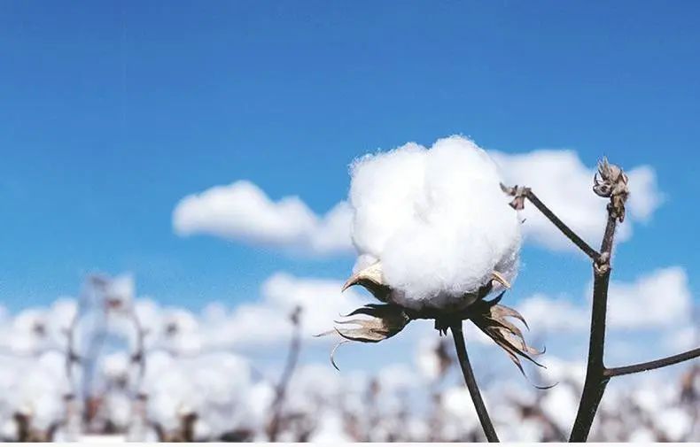 要用就用好产品,要用就用高品质产品