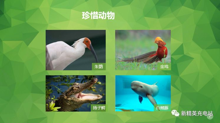 ppt中图片的基本操作有哪些,ppt上的高清图片是怎么弄的