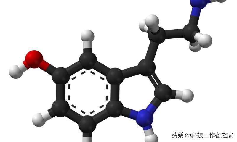 被吓住了整天提心吊胆,被吓住之后的精神状态