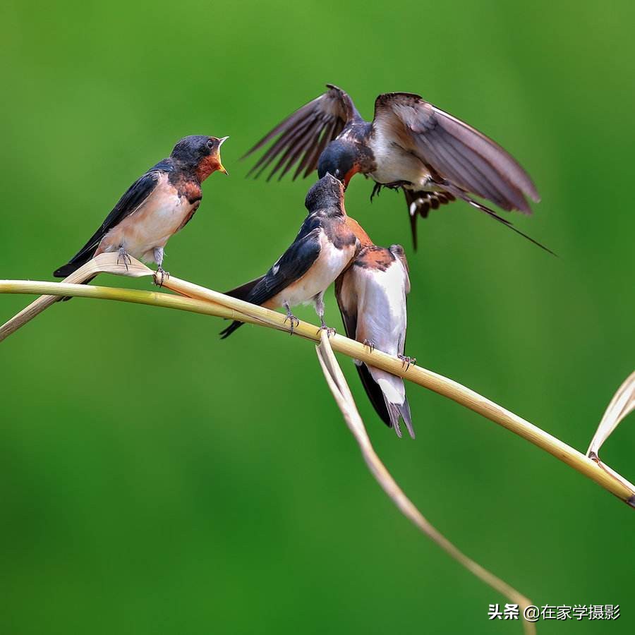 摄影曝光怎么调算正常,摄影曝光三要素如何调
