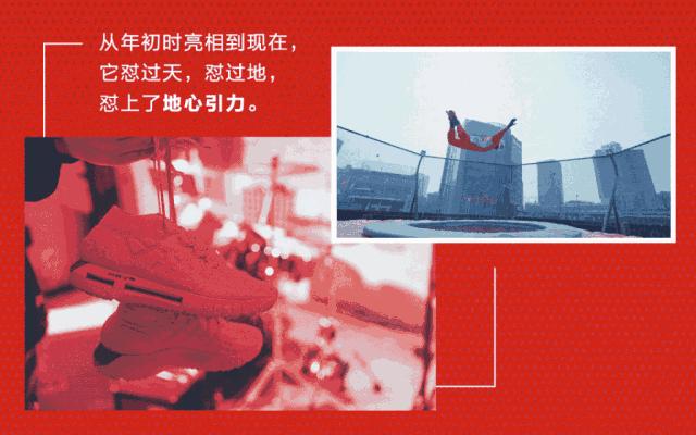 南阳市动物王国门票,南阳市动物主题公园