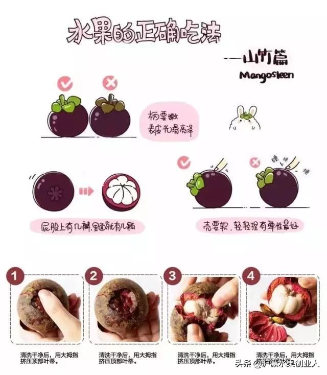 山竹选哪个最好,不会挑山竹记住这几点一挑一个准
