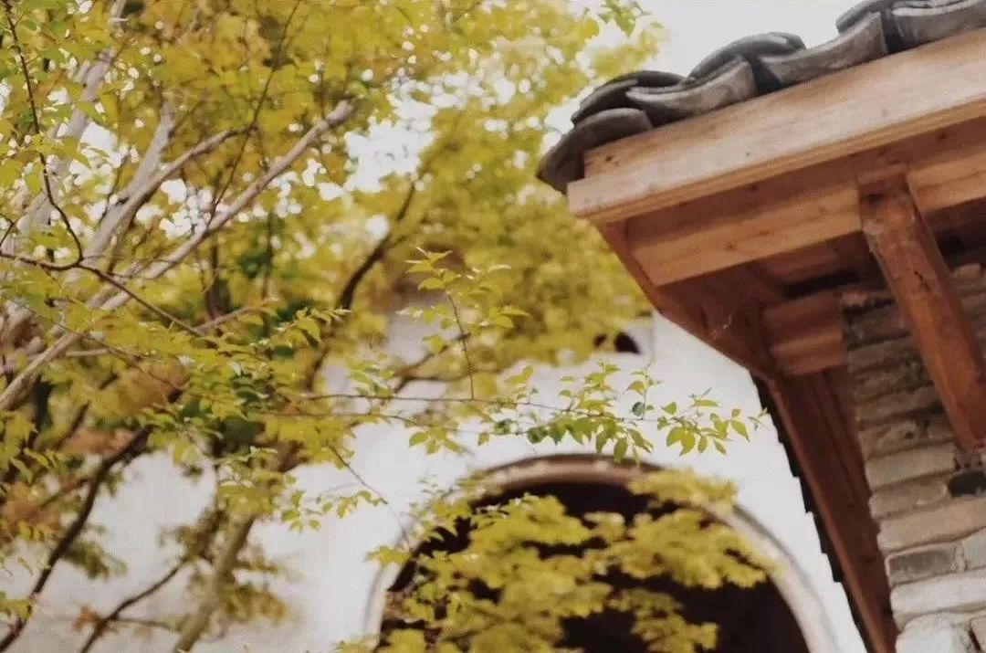 秋日河畔画中小镇，隐于茶园流水，山水间三店新开旅居吃茶慢生活