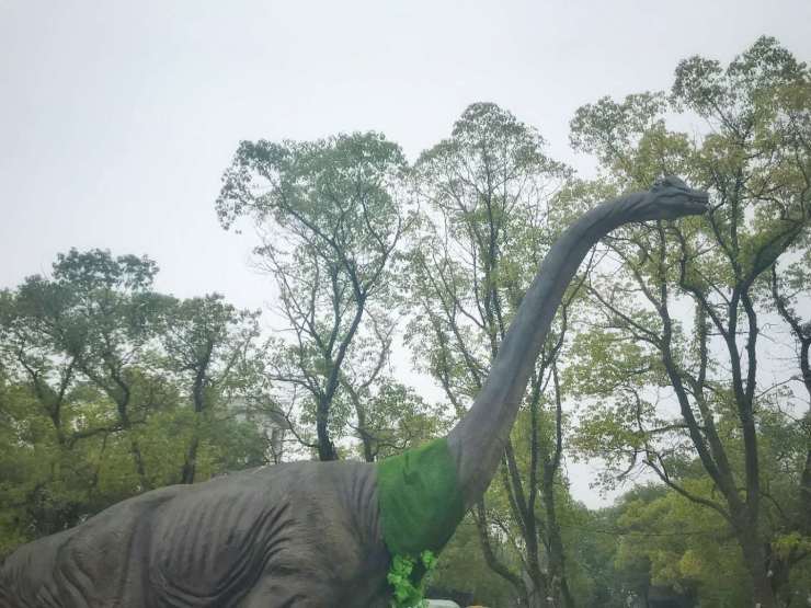 央企保利万颗暖心茶叶蛋全城派送！你在哪？