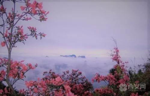 想见你，五彩缤纷的蓝田！「图」