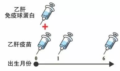 乙肝对身体影响的解决办法