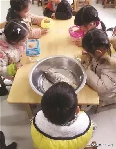 幼儿园老师叫孩子回家,幼儿园老师叫孩子自带零食