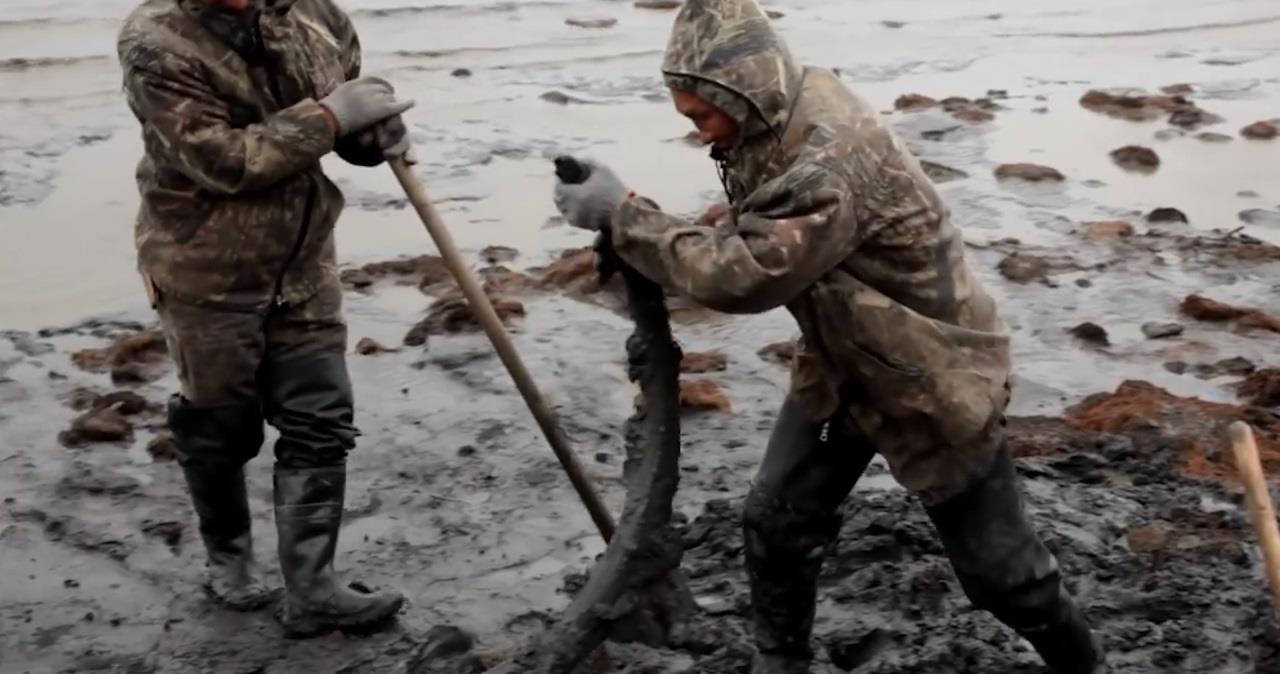 潘多拉动物盒子,潘多拉盒里面的黑色怪物