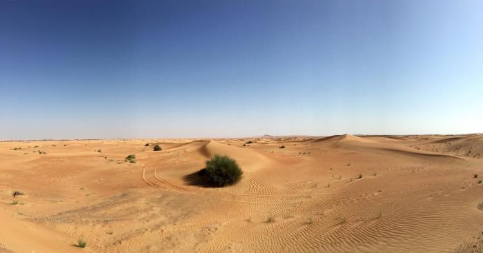 分享iphone的知识,分享iphone实用技巧苹果手机