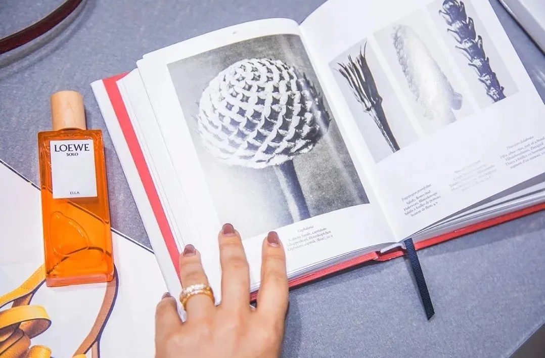 岁末圣诞元旦礼物,岁末钜惠圣诞狂欢购