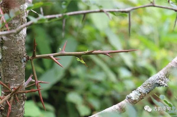 姊佹渤鐗硅壊缇庨鎺ㄨ崘,姊佹渤鐗硅壊缇庨