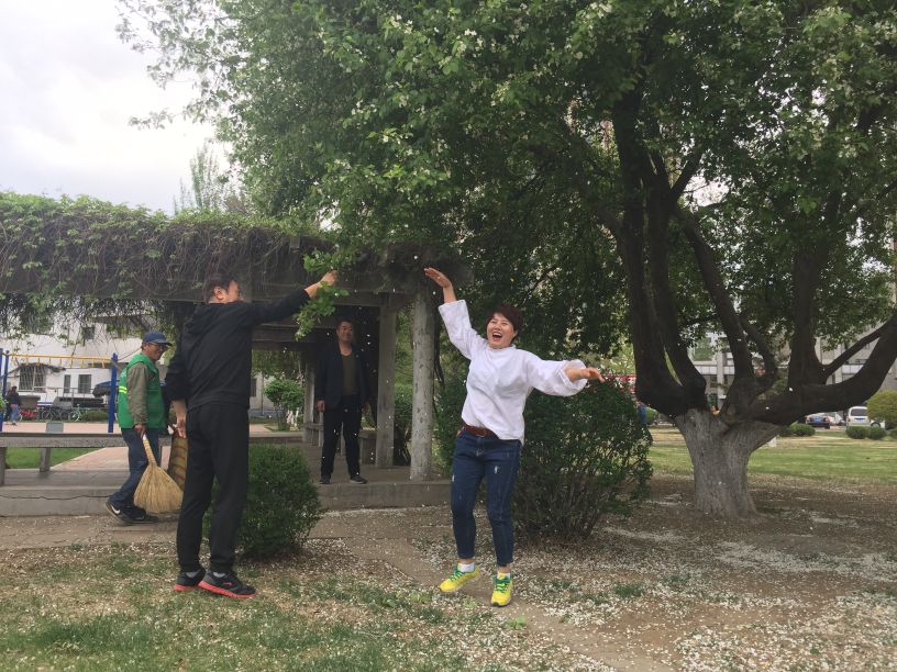 娌堥槼寮犲＋濂夎揪鍏洯,娌堥槼濂夎揪鍏洯