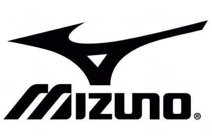 鸿星尔克奥运会,日本奥运会日本选手鸿星尔克