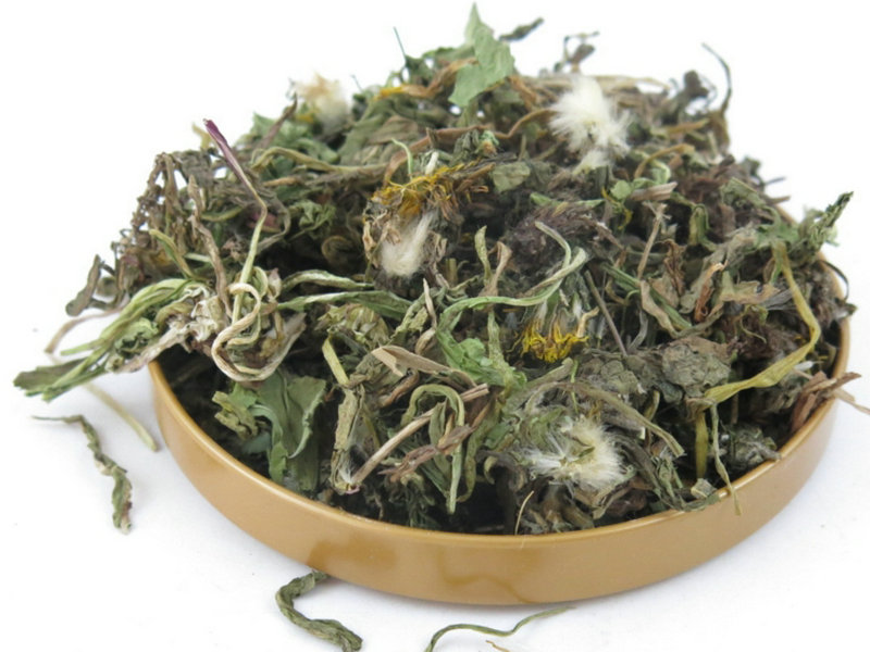 蒲公英中药自然笔记,每日一膳蒲公英