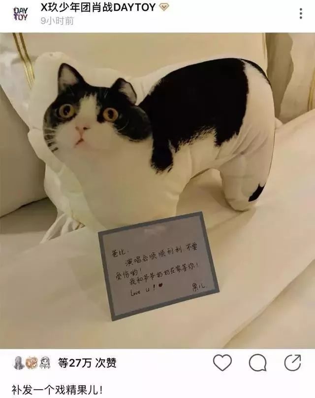 360度“云吸猫”?日本这家猫咪商店简直爱了