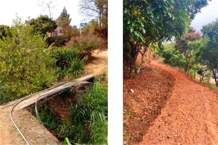 广东信宜|竟有53万华侨同胞来自这“八山一水一分田”之地?