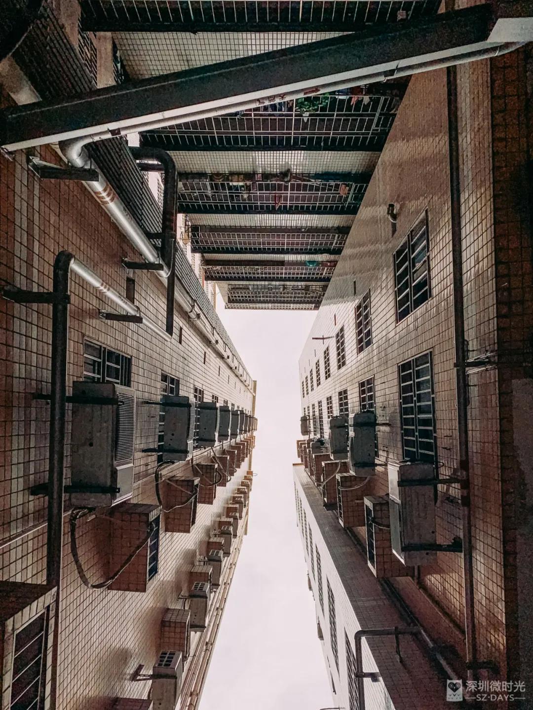 深圳合租式爱情：为了省房租，我没敢说分手