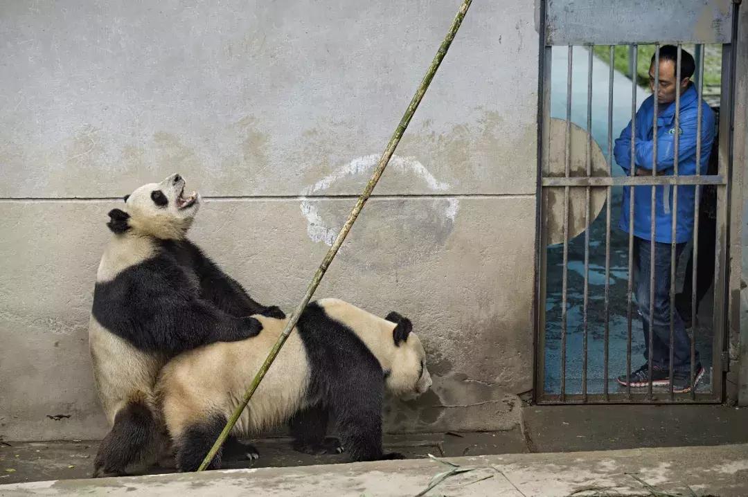 你才可爱你全家都可爱怎么回,你才可爱你全家都可爱出处