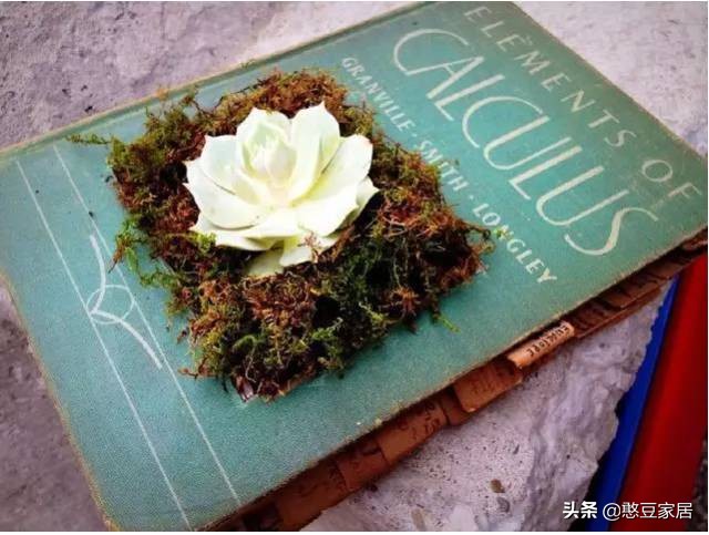 比Angelababy开眼角还可怕的事情，这里的垃圾堆成山，恶臭漫天！