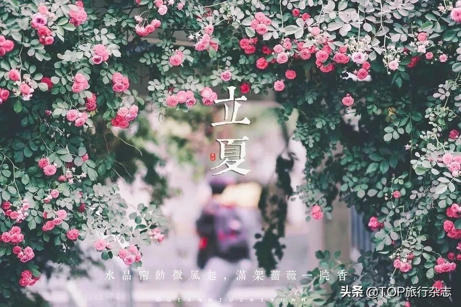 立夏去哪里旅游最好,立夏这个季节去哪里玩