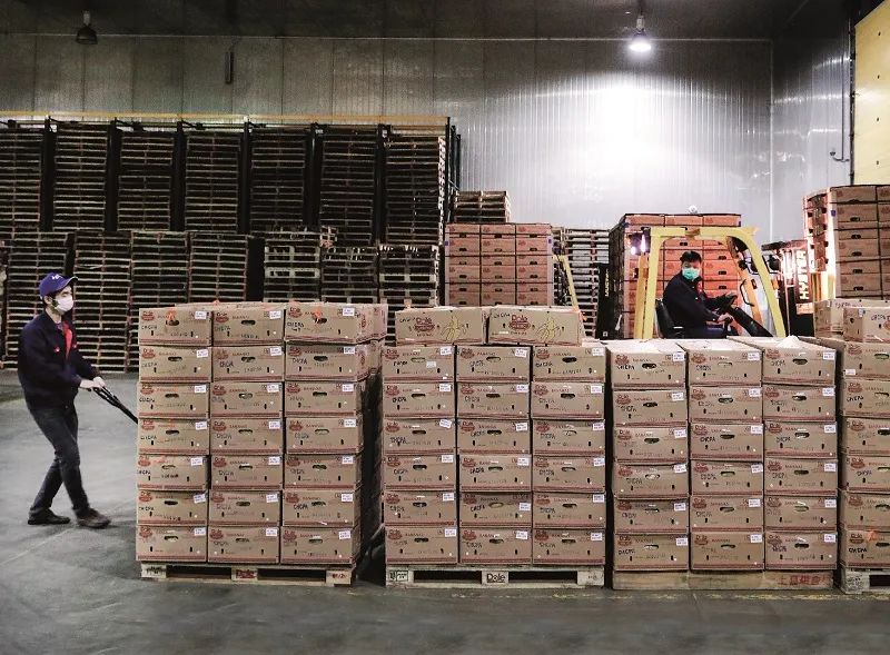 “被消失”的口罩：谁掀翻了边境线上的百万生意？