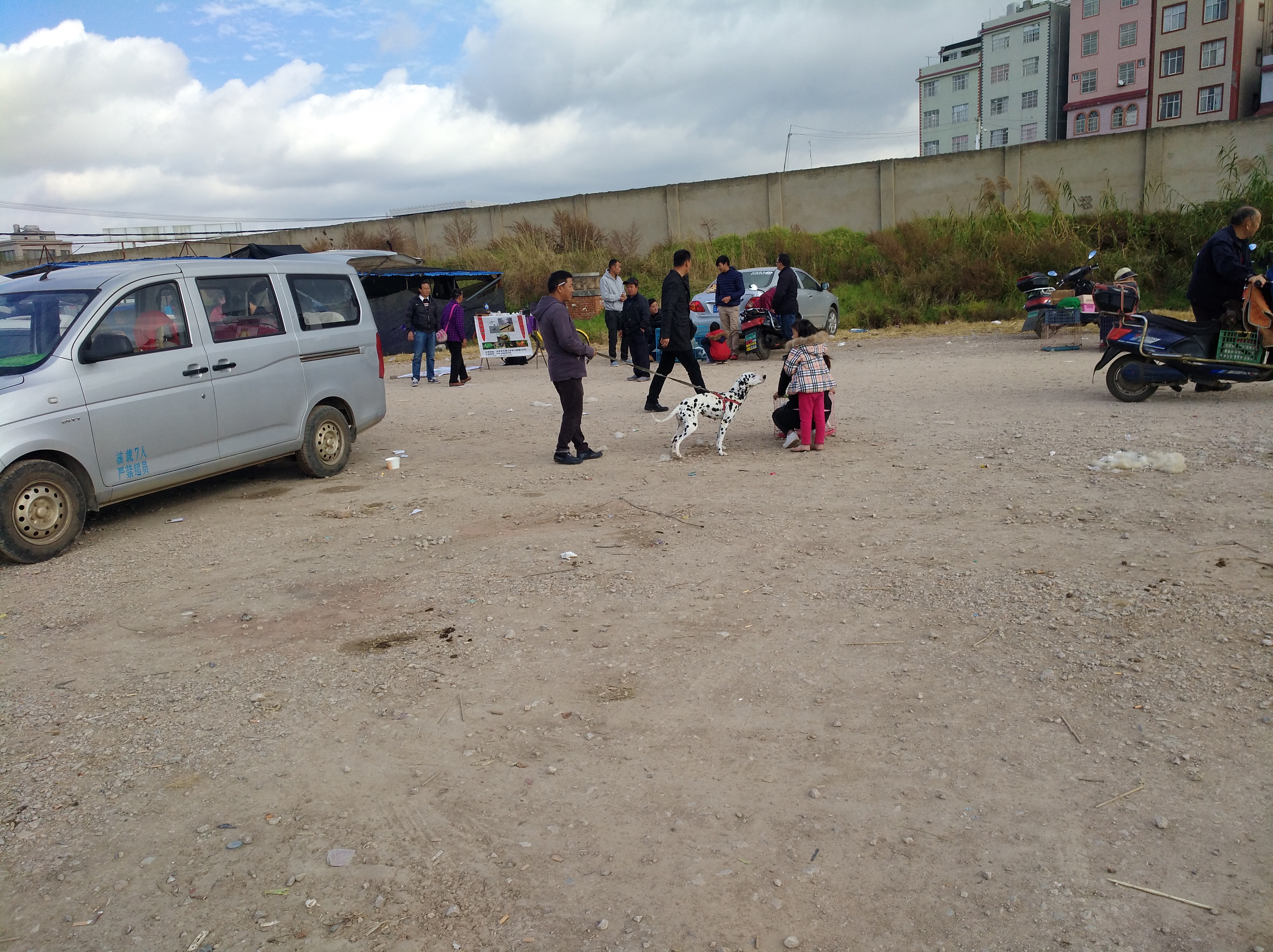 宠物市场淘斑点狗多少钱,狗市卖斑点狗