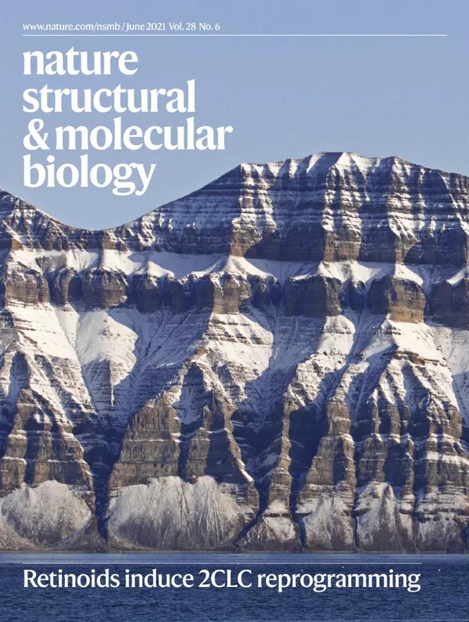 自然期刊封面,最新自然期刊