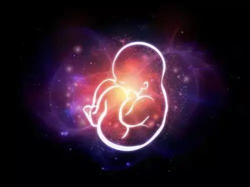 那些流掉的胎儿都去哪里了?看看这些结果,你还会选择流产么?