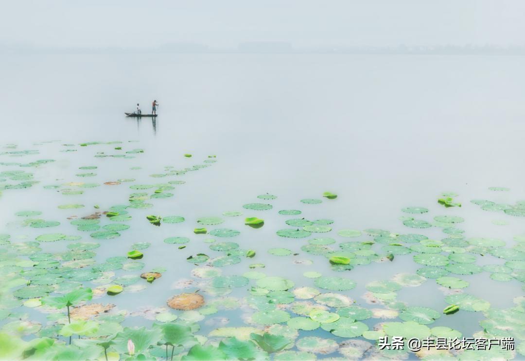 2021丰县苹果节在哪里举办,丰县苹果节最新消息