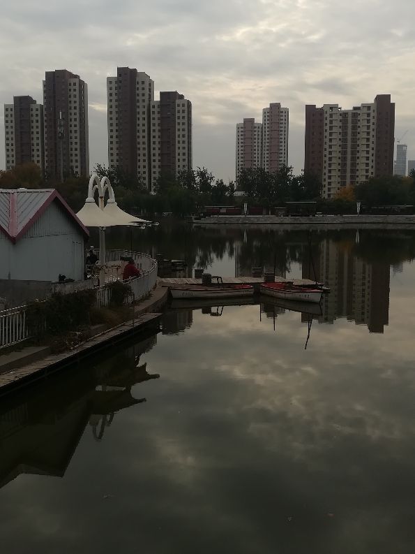 天津遛鸟的地方,天津溜狗好去处