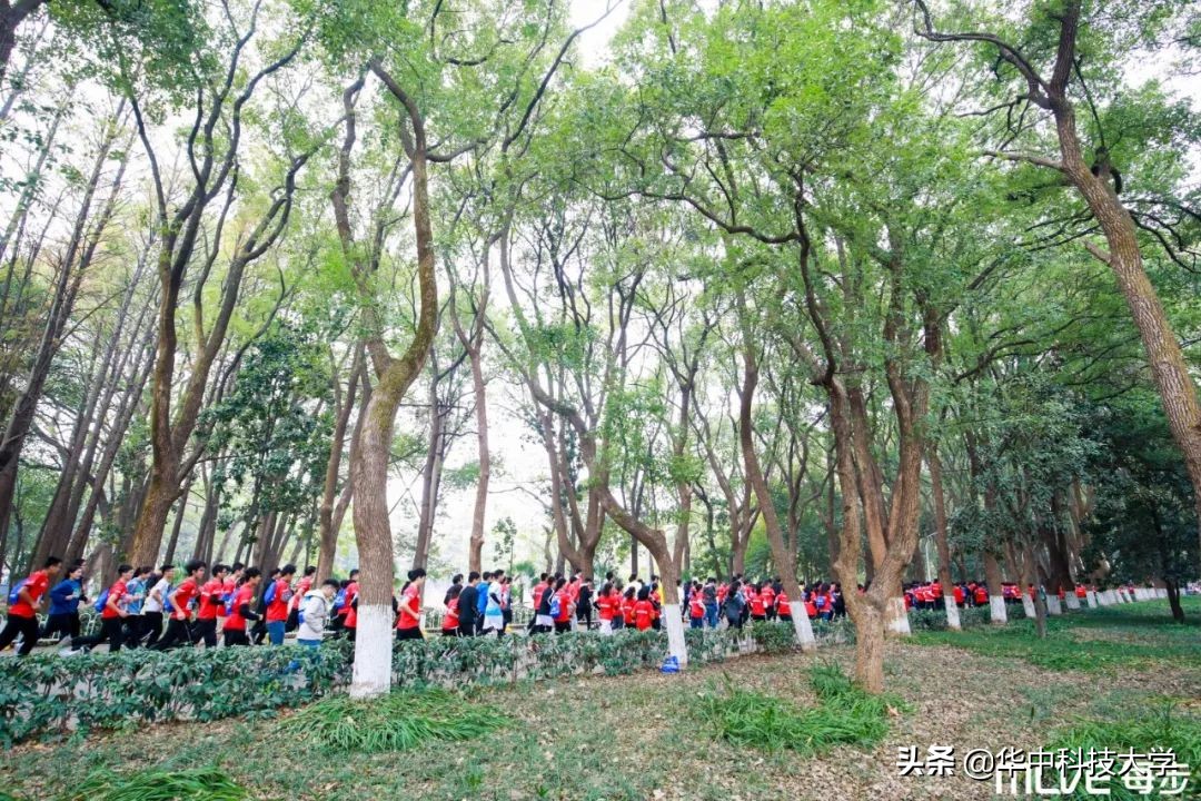 校园看跑步比赛,校园马拉松比赛