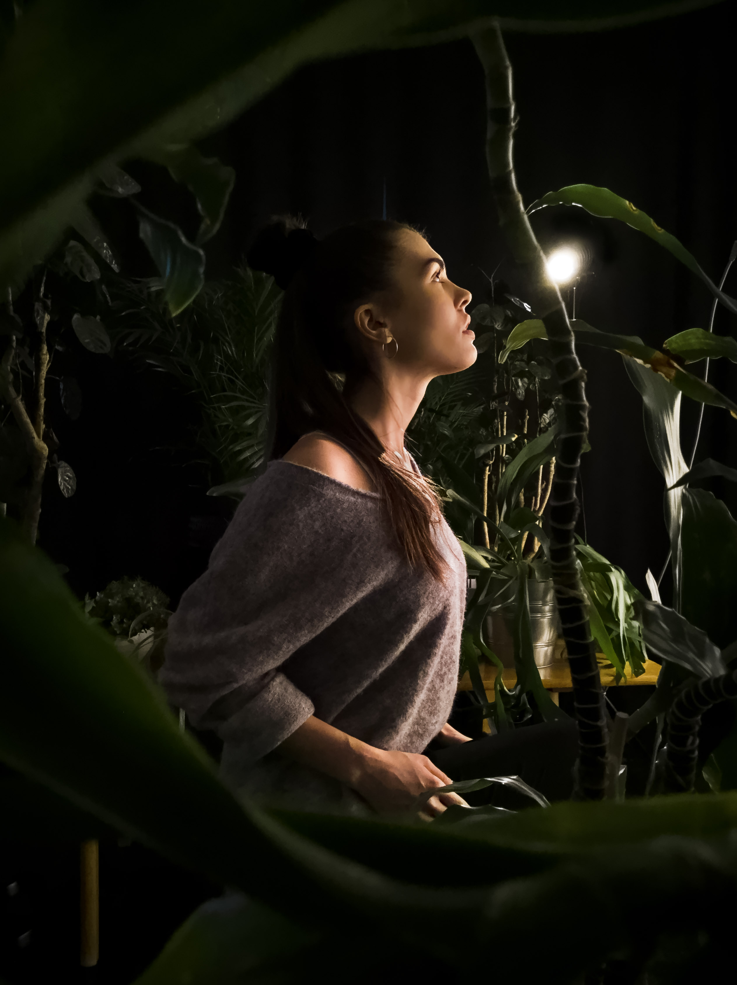 nokia9pureview拍照,nokia9pureview拍照强吗