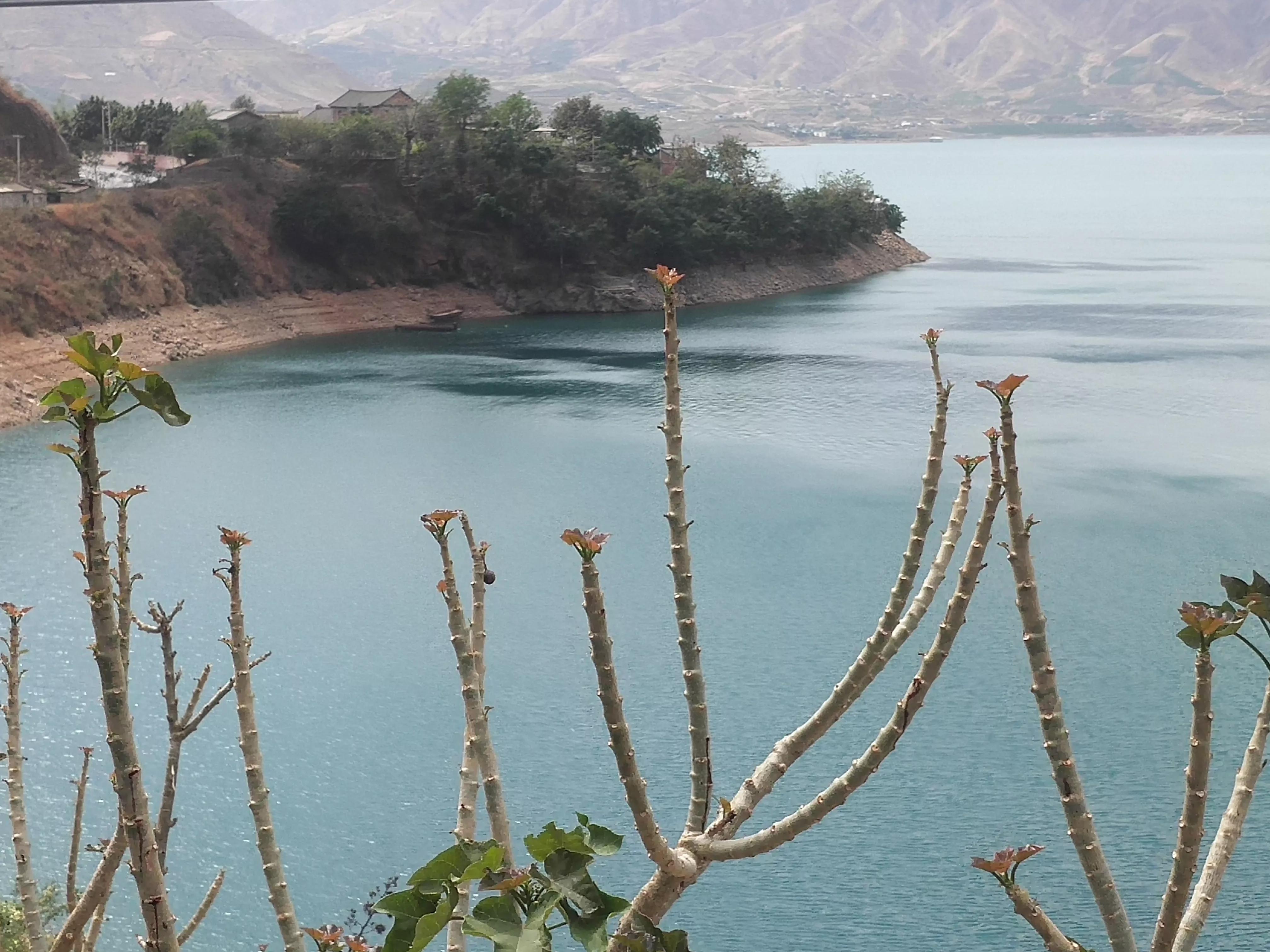 大理洱海风花雪月的故事,游大理阅读理解