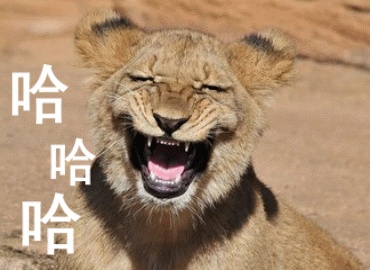 奥运央视解说员,奥运会赛事解说员是谁