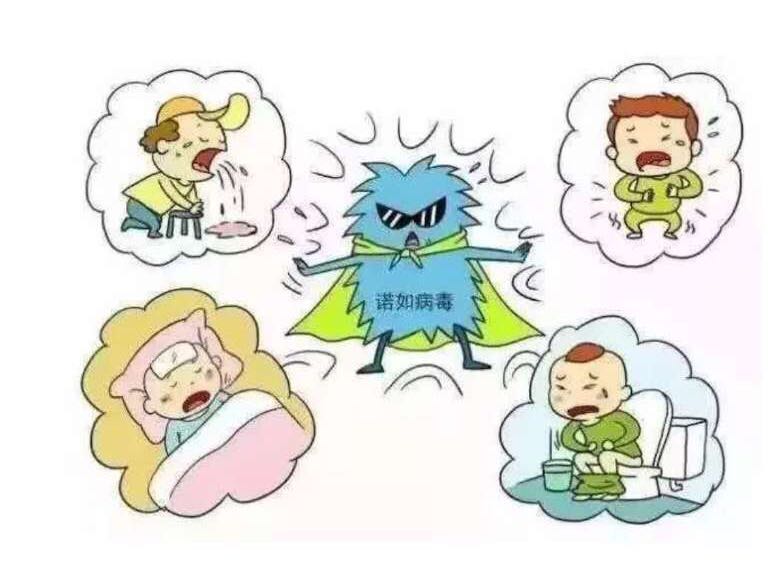儿童诺如病毒引起的腹泻怎么处理,诺如病毒是肠道病毒吗