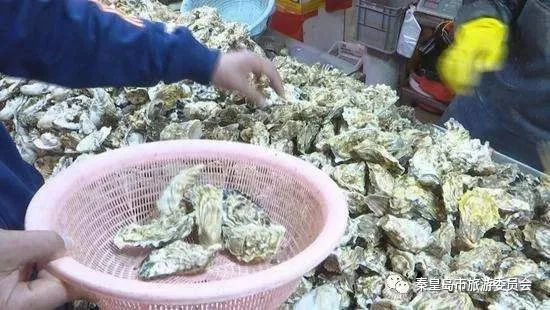 想要在秦皇岛吃到又便宜又新鲜的海鲜,就来这里!实惠不坑人