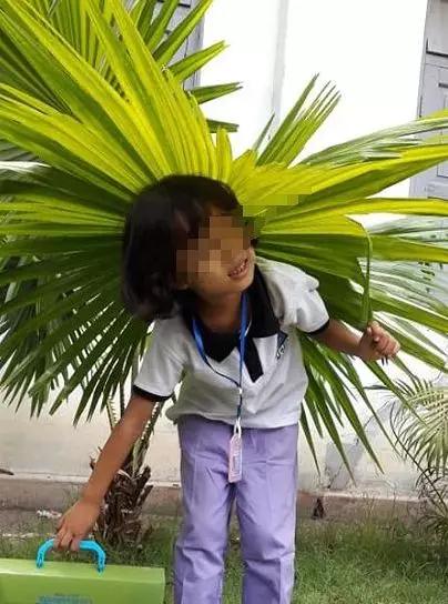 缅甸佤邦现在治安又如何,佤邦是缅北治安最好的吗