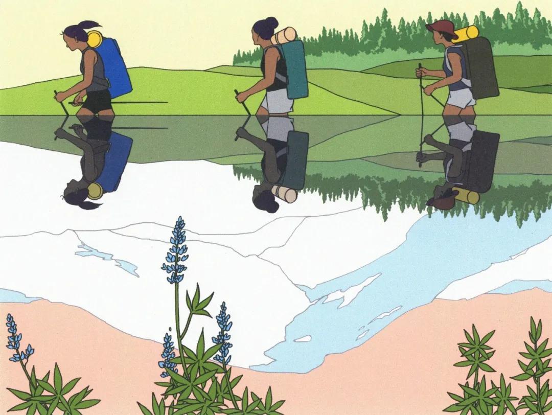 纽约时报去年的文章,纽约时报年度最佳图书