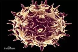 孕早期长了一小部分水痘怎么办,妊娠期起水痘了怎么办