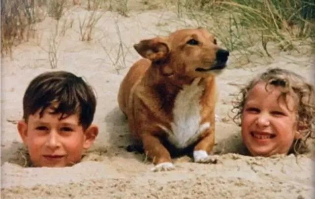 中国足球曾9次夺冠,中国足球拿过9届冠军