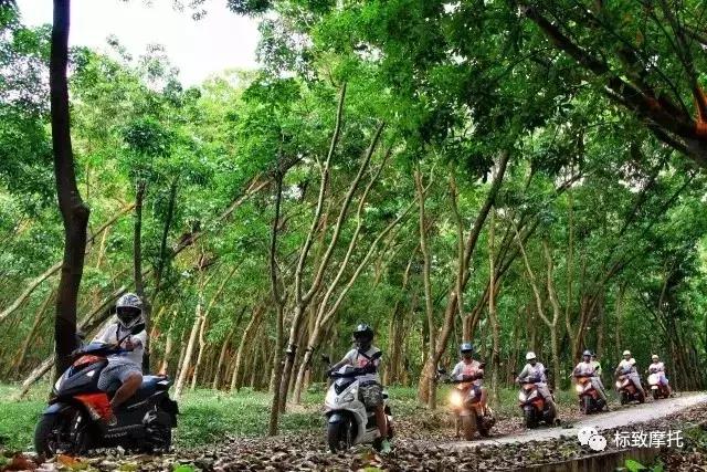 一起去热带雨林骑行吧~▏2019标致摩托美丽中国行