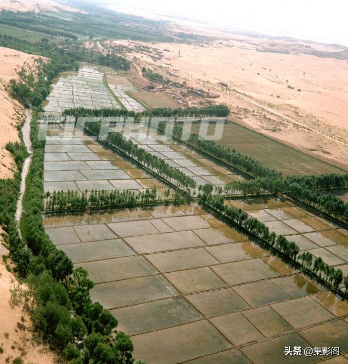 榆林市八十年代 (榆林市制革厂老照片)