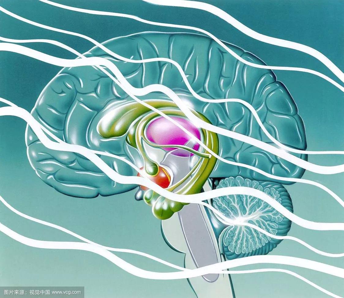 自闭症患者癫痫的10个前兆,自闭症加癫痫要先治疗哪一个