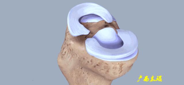 听骨科医生讲的话,听完骨科专家的一段话