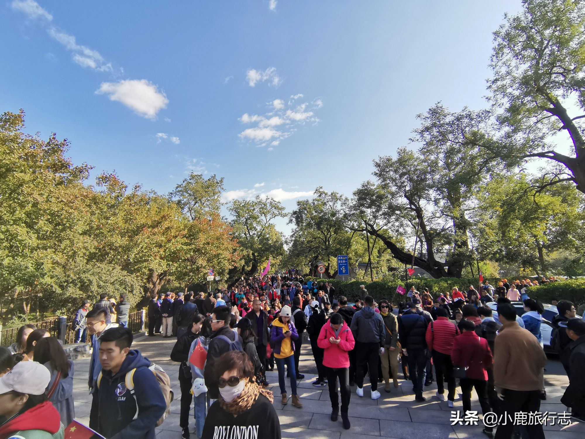 北京免费玩森林公园有哪些,北京森林公园一日游最佳攻略