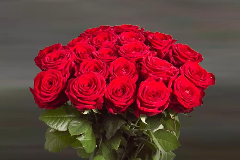 花店必备的5款玫瑰,花店最常用什么品种的玫瑰花